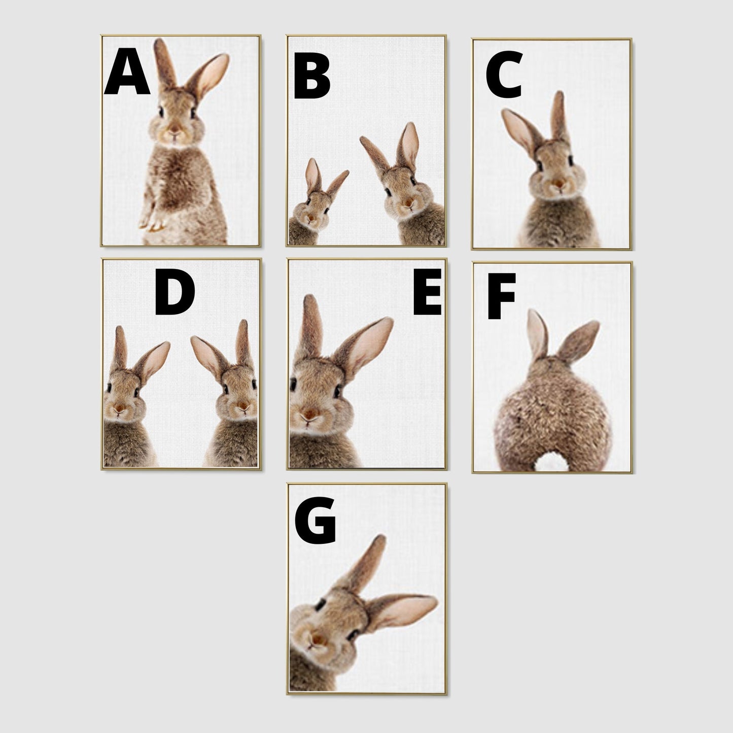 Choix d'affiche lapins