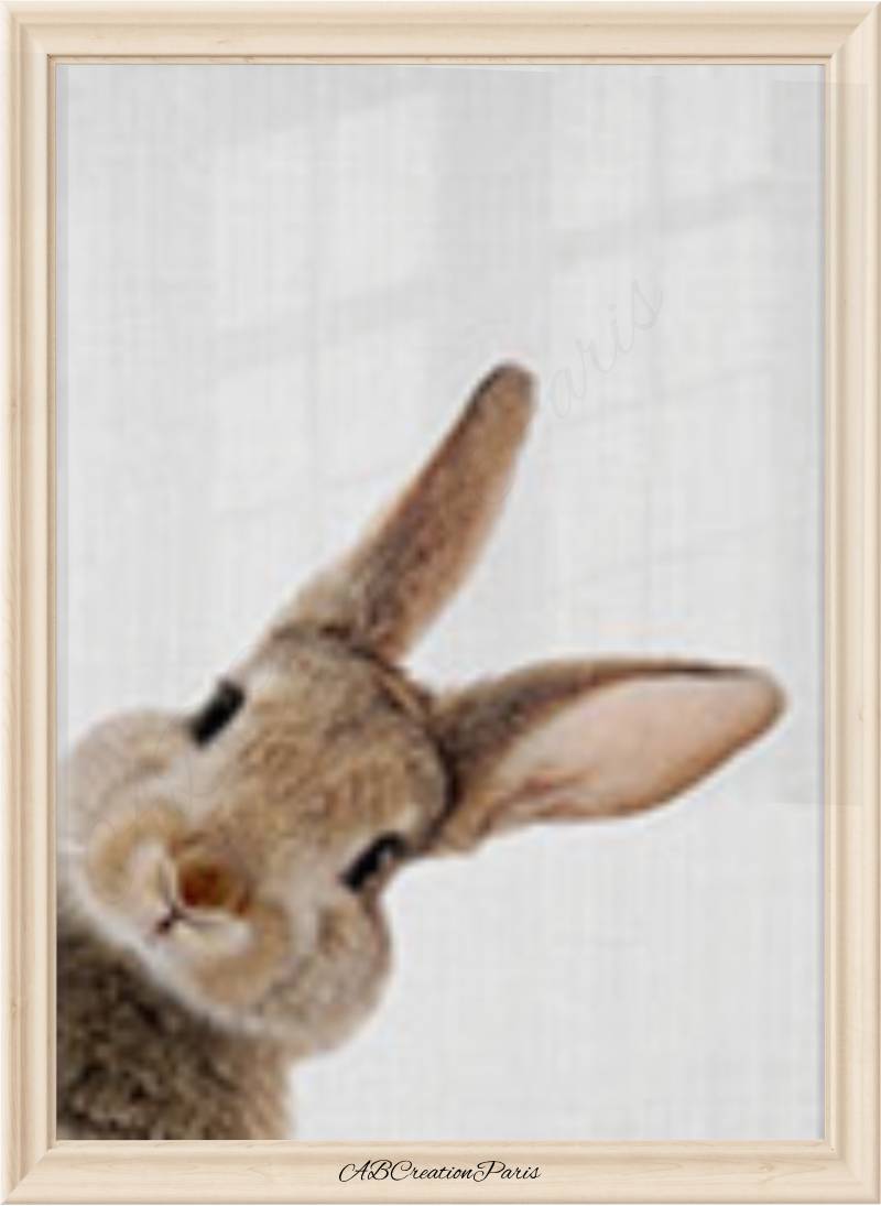 poster lapin 