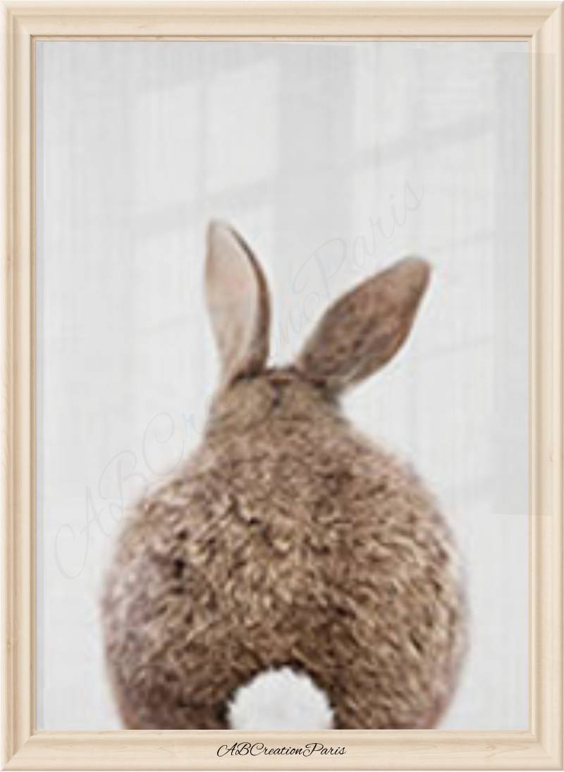 lapin de dos